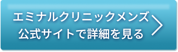 メンズエミナル公式サイトで詳細を見る